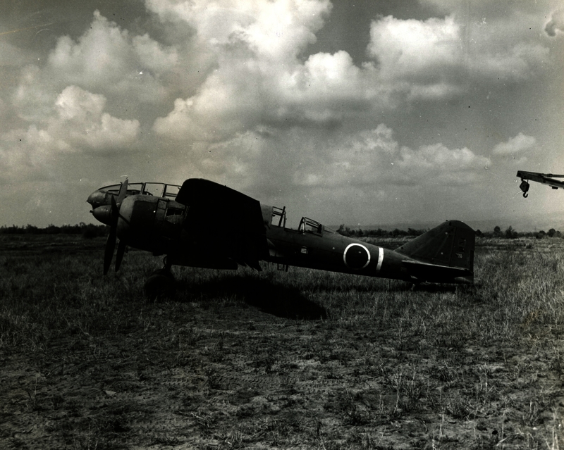 517eca77382045.20487154