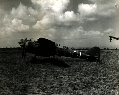 517eca77382045.20487154