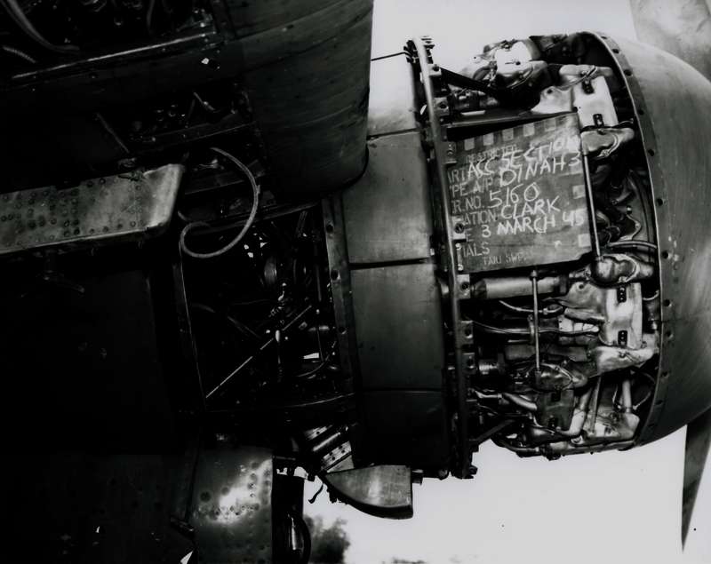 517ecab3527314.10146634