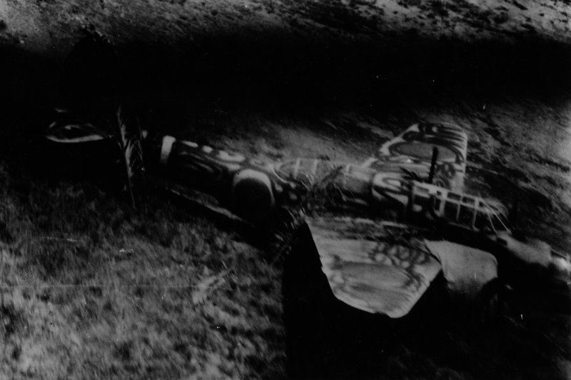 517ecaf2c0dbc4.99447662