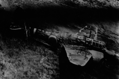 517ecaf2c0dbc4.99447662