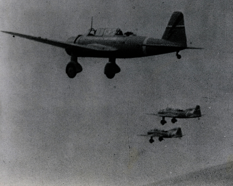 517ecb11205da0.40027960