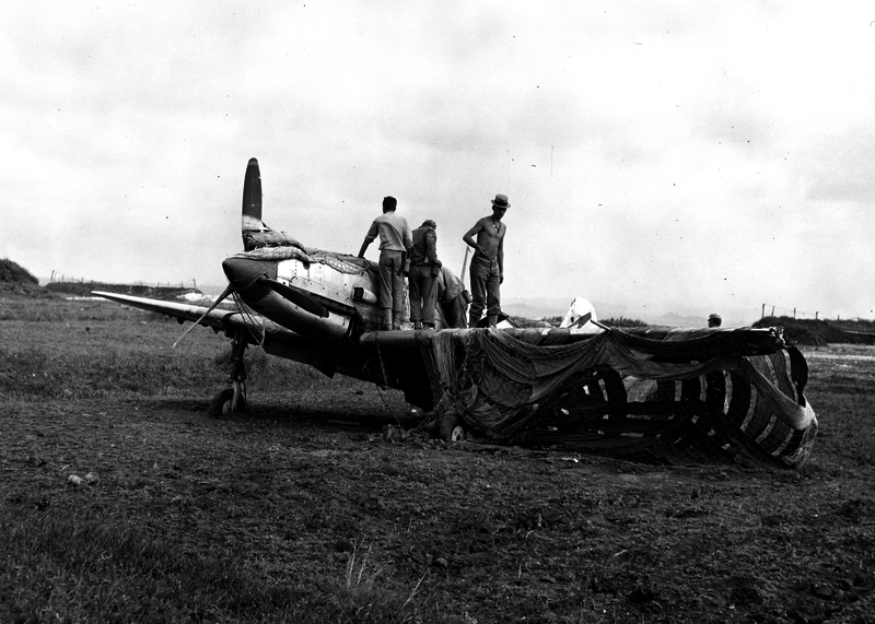 517ecb51d8b6f9.78005020