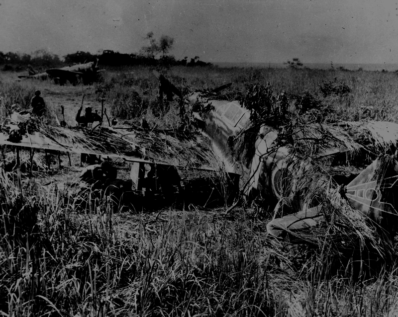 517ecb5bd86881.71793069