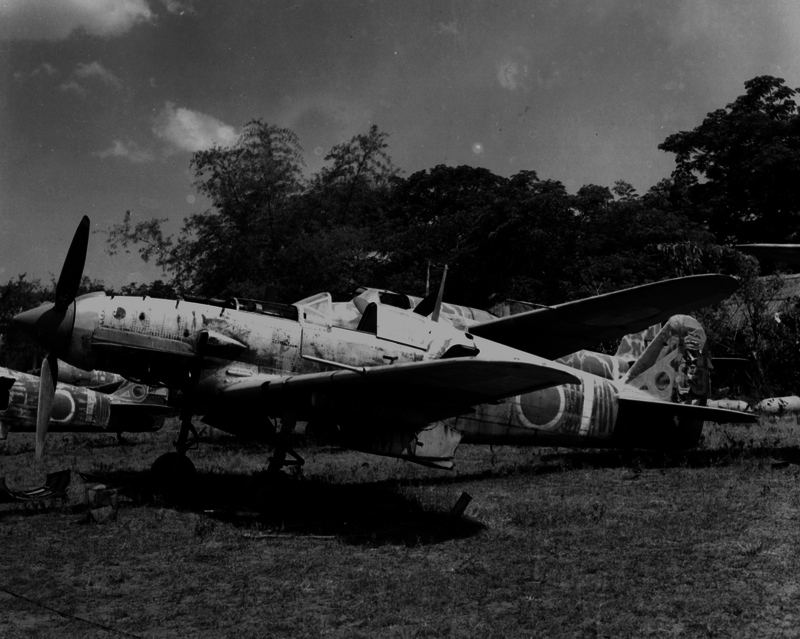 517ecb6a3f6464.80899548