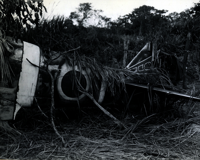 517ecb73989276.73263662