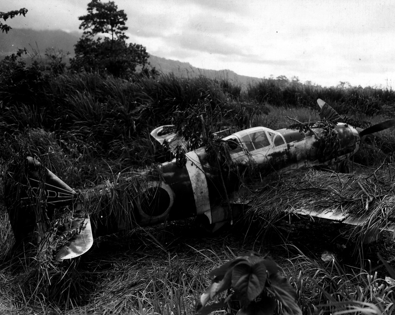 517ecb7f1ad093.46211160