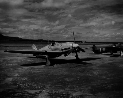 517ecb8b18b450.09209034