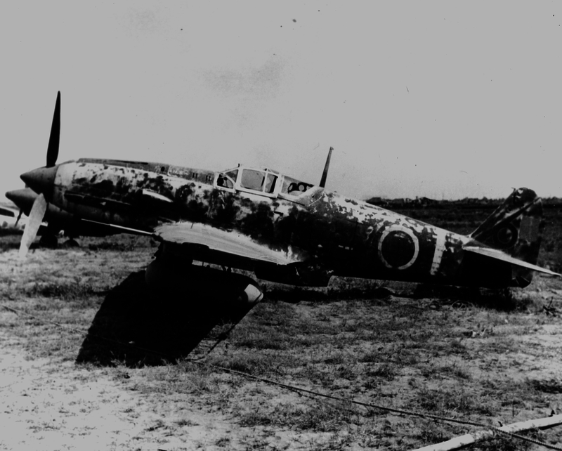 517ecb95332d47.65674546