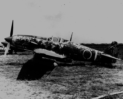 517ecb95332d47.65674546