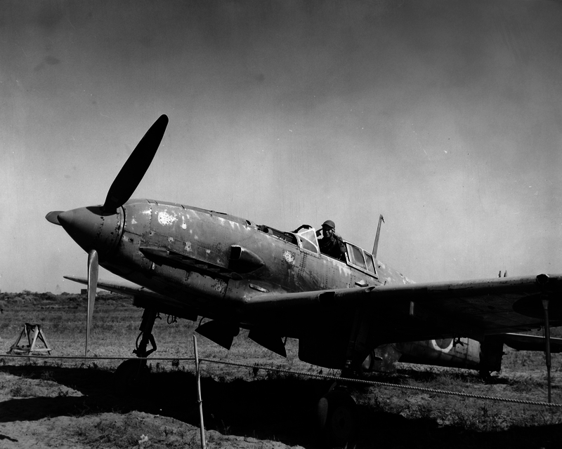 517ecba75197a8.80640956