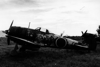 517ecbc1987c13.70718861