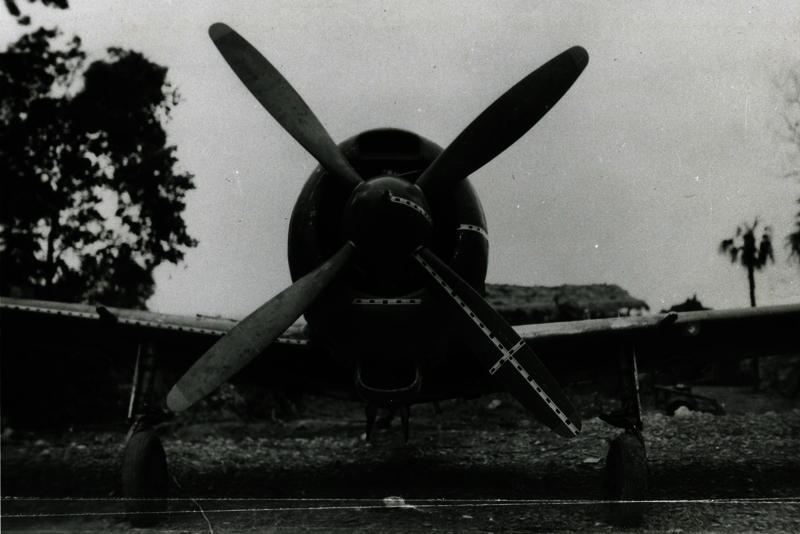 517ecbc752eba0.20716393