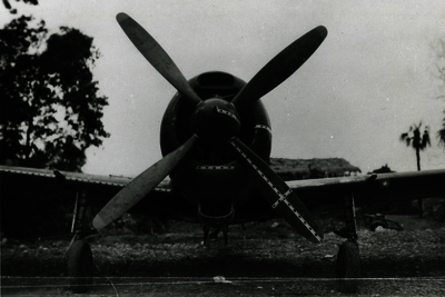 517ecbc752eba0.20716393