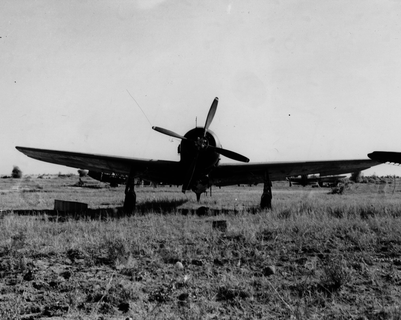 517ecbce977f20.20301874