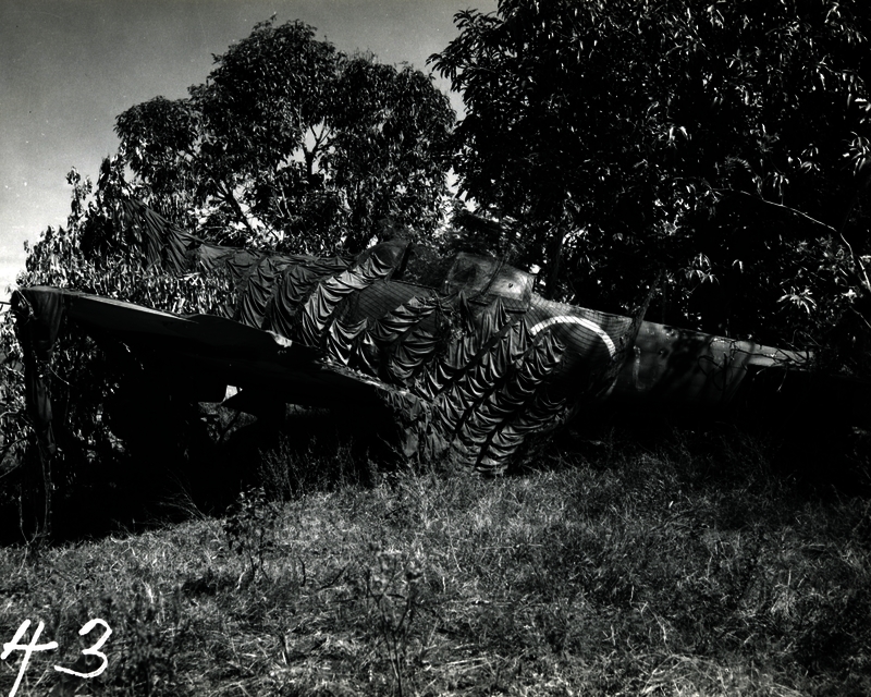 517ecc01919da0.07043924