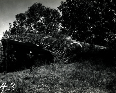 517ecc01919da0.07043924