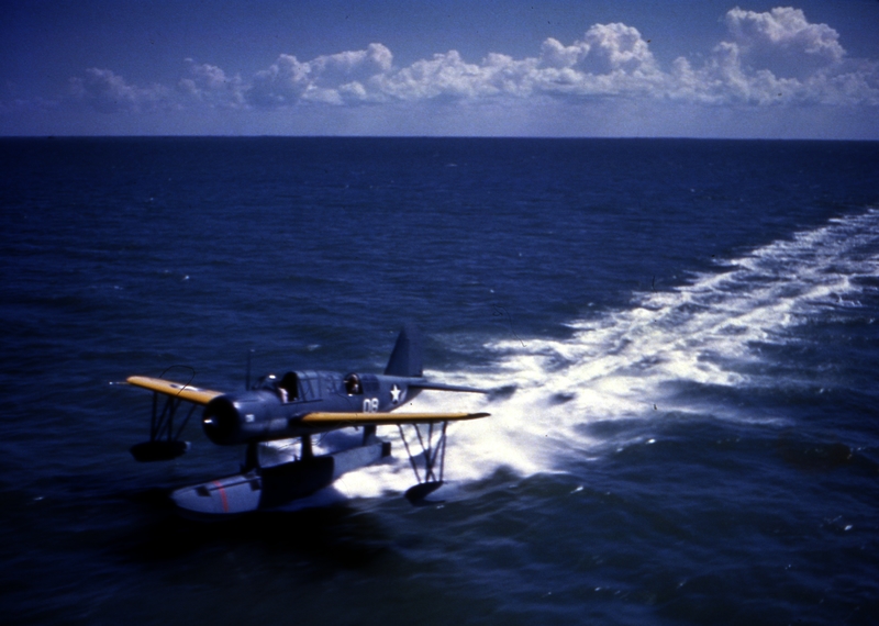 517ecc1c2f6320.97991720