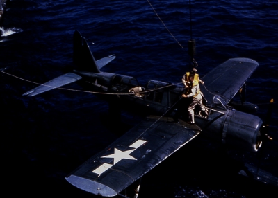 517ecc23a1fe03.16066959