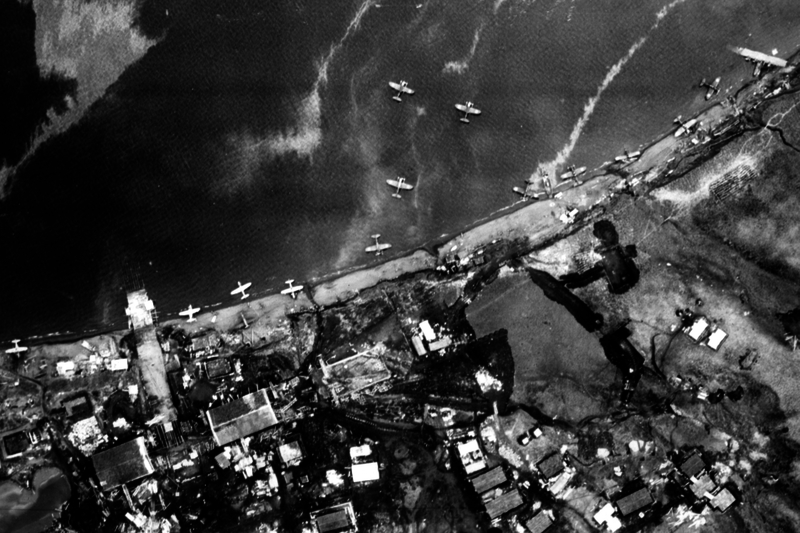 517ecc36950c07.31768278