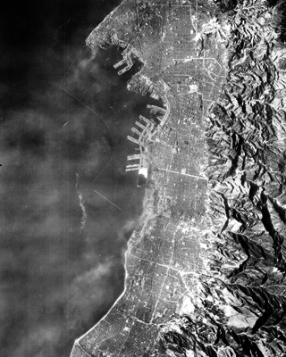 517ecc50afb7c0.49000577