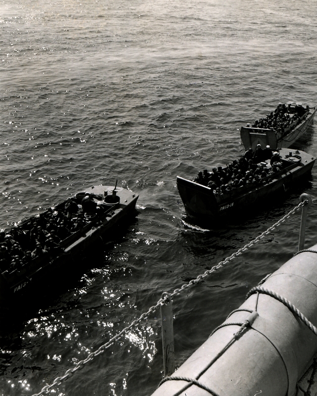 517ecccf008031.69631237