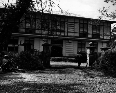 517ecd1a40f588.85859385