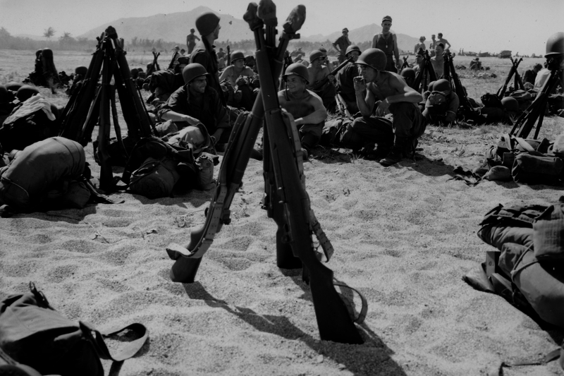 517ecd941dbdb5.10878547