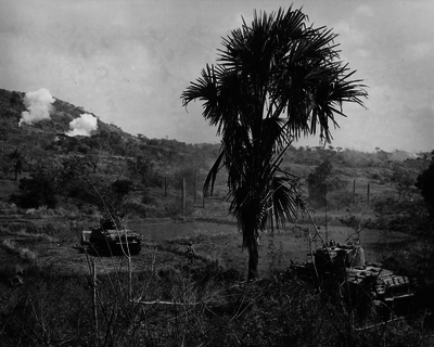 517ece453d2e02.50506612