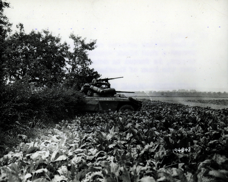 517ece9a798750.56901080