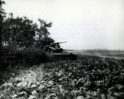 517ece9a798750.56901080