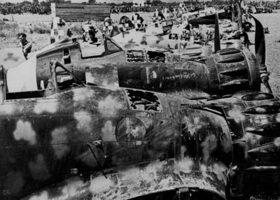 517ecf2bacce41.62408364