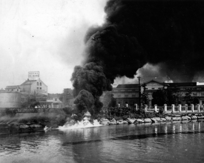 517ecfda99a3c6.56260377