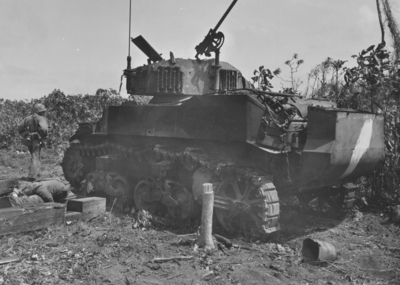 517ed01dcdbb13.82290149