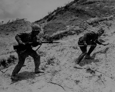 517ed03167bf31.59759876