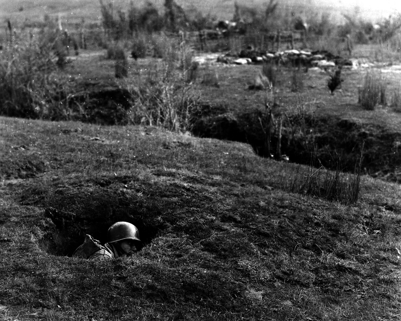 517ed06f7745e7.69481088