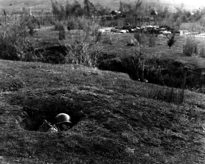 517ed06f7745e7.69481088