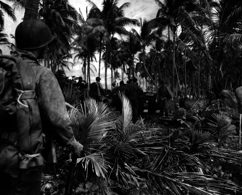 517ed089078ad4.13123640