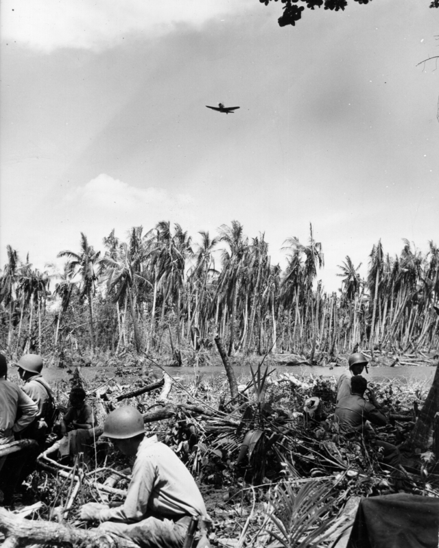 517ed0a6805fe0.05669749