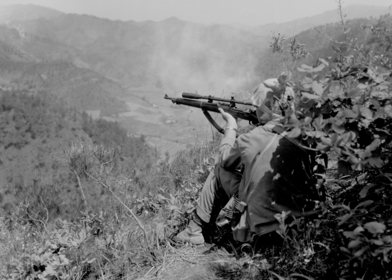 517ed0bff3b111.72781826