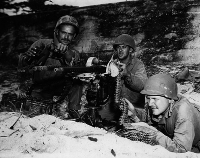 517ed0d207c5d9.90306579