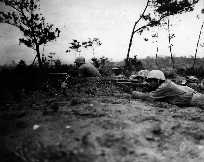 517ed0e2dc5848.44293582