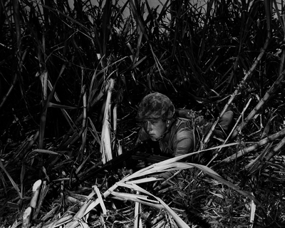 517ed0ec215d14.58329094