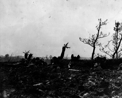 517ed0fba32b89.67235011