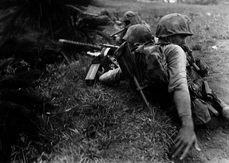 517ed10f2b07d8.92699398