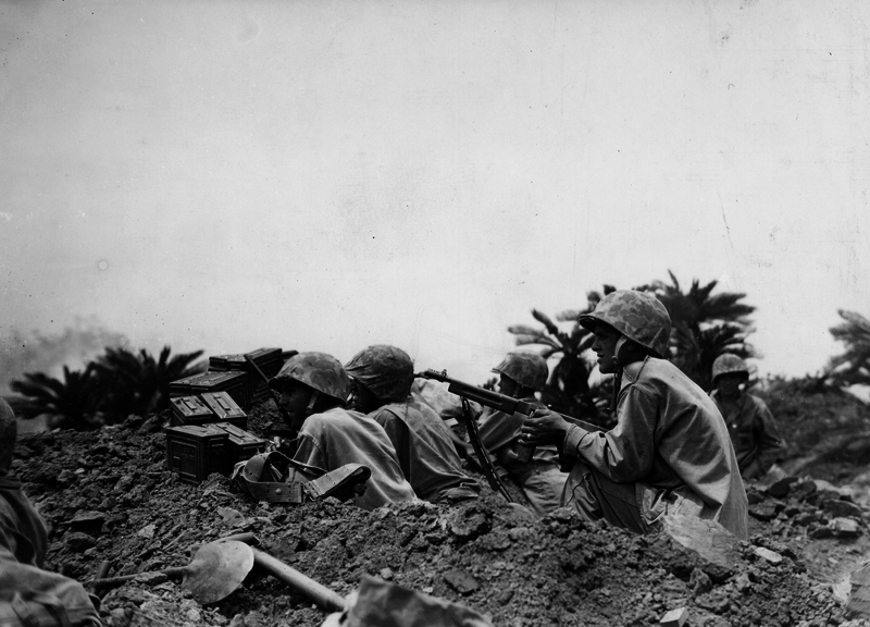 517ed12261fea9.68860479