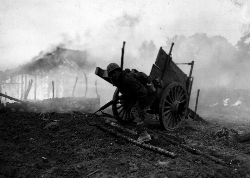 517ed1570ef9e4.20114016