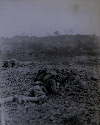 517ed1674597a6.85196339