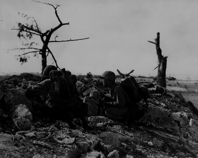 517ed17b189298.04125444