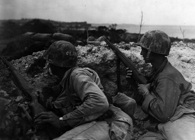 517ed1acc9fb88.36330130